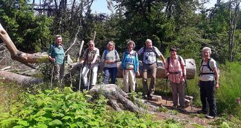 Wandergruppe vor umgestürztem Baum