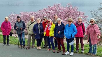 Wandergruppe vor blühendem Baum