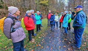 Wandergruppe pausiert im Wald