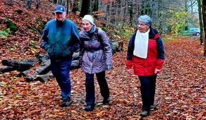 Wandergruppe im Wald