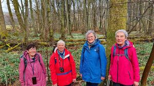 Wandergruppe im Märzenbecherwald