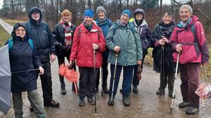 Wandergruppe auf Forststraße
