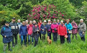 Wandergruppe vor Rhododendronbüschen